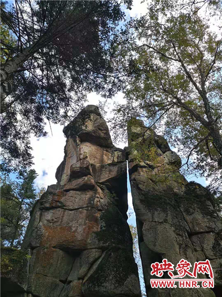 【新時代東北振興】“大屯子”變身“旅發地”！林都伊春“綠色振興”踏歌行