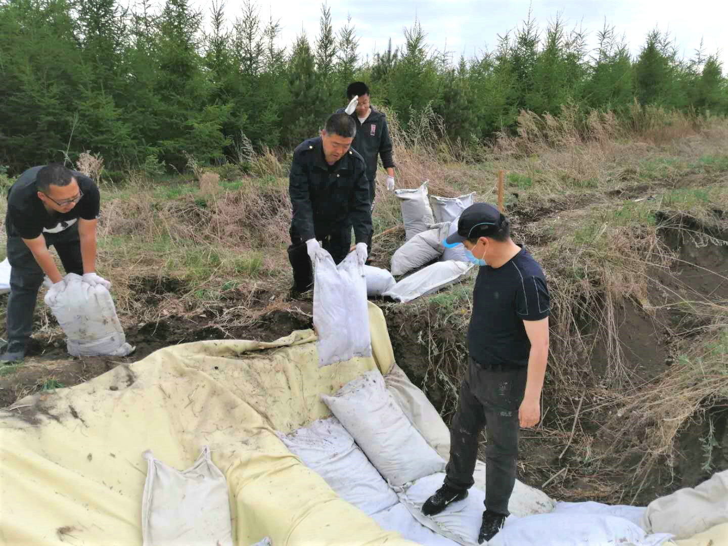 護好黑土地  守住“大糧倉” 北大荒集團建設農場全力確保黑土地永續利用_fororder_29黨員幹部義務在對轄區水蝕溝進行治理。