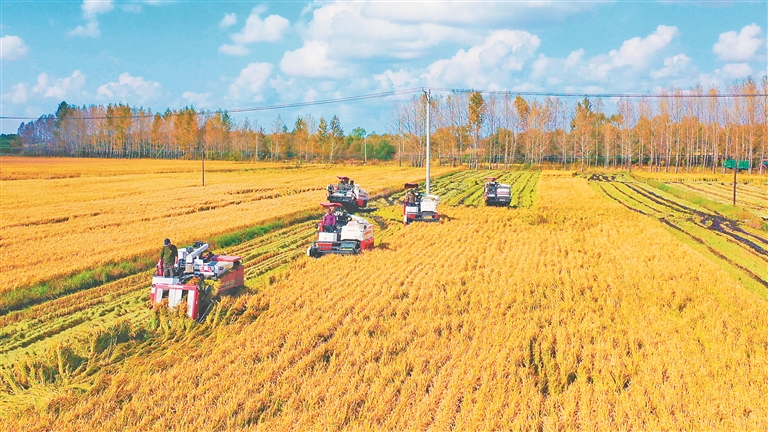 伊春：全力打造踐行大食物觀先行地