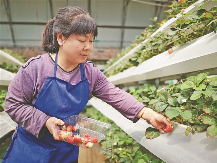 伊春：全力打造踐行大食物觀先行地