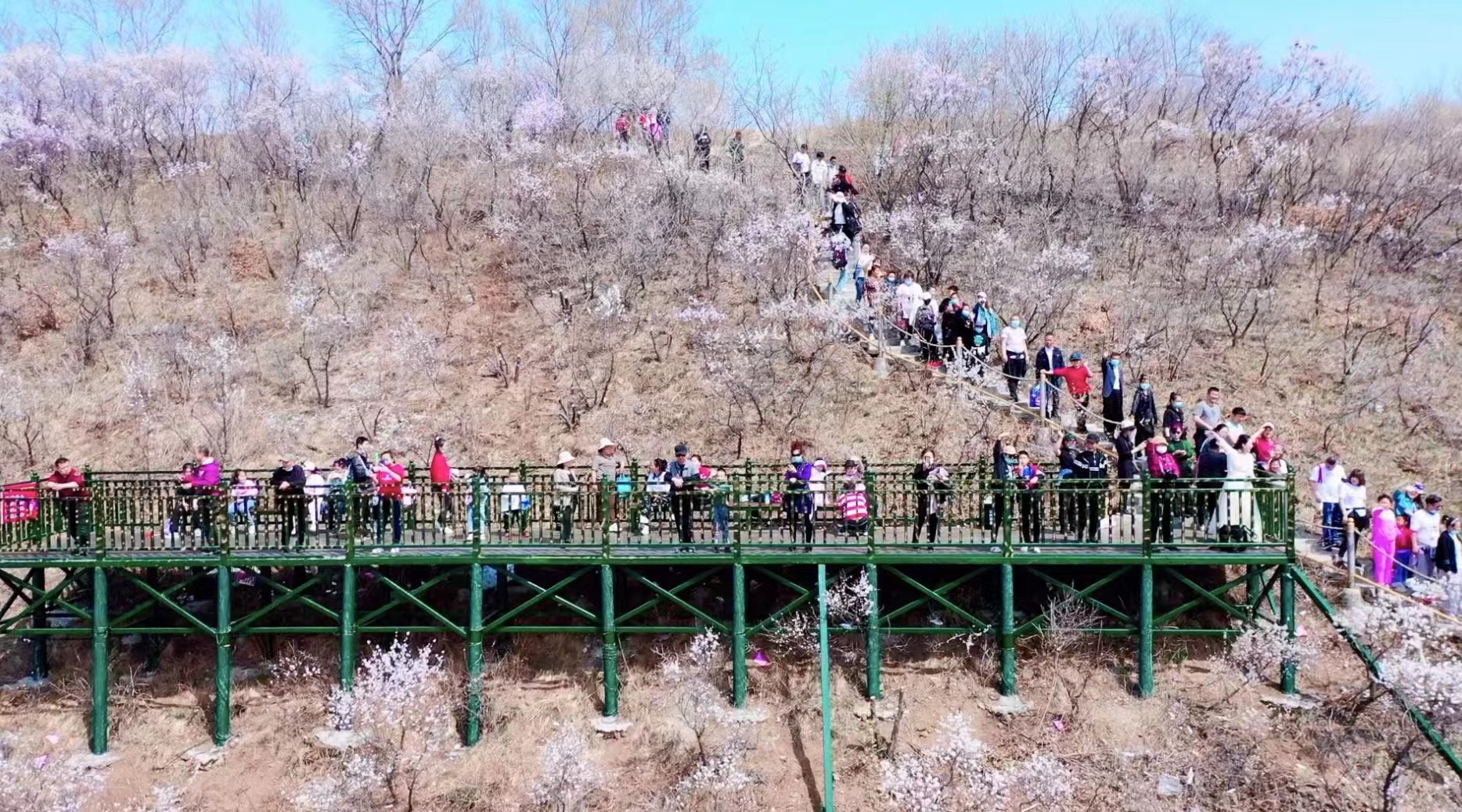 以花為媒 黑龍江雞西打造 “花開等你 浪漫之旅”特色文旅品牌_fororder_微信圖片_20230430100514