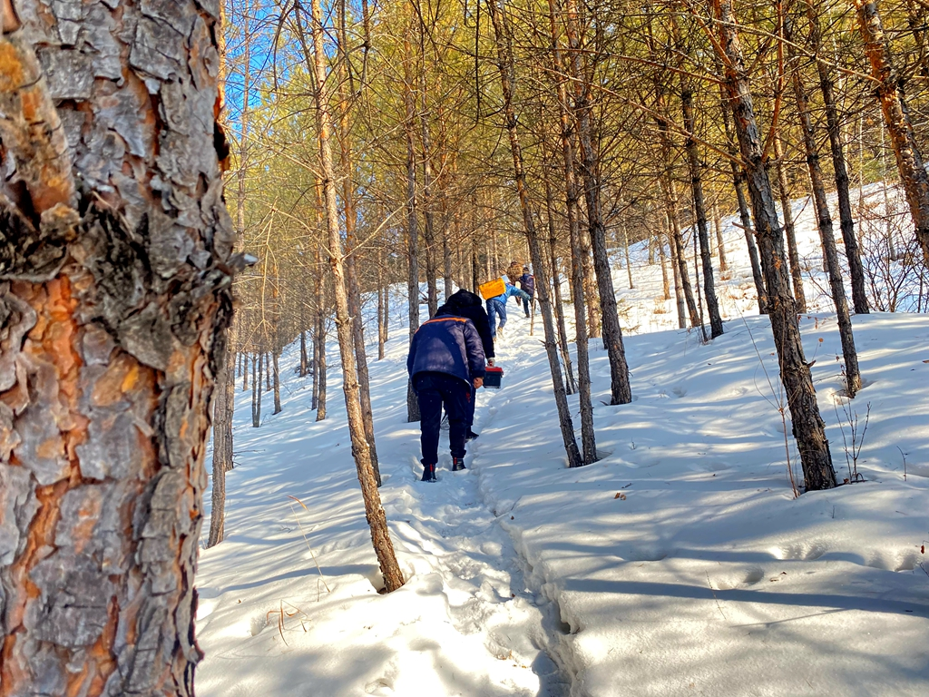 黑龍江聯通匠心打造精品網絡 為飛龍山地質公園插上數字化“雲翅膀”_fororder_圖片4