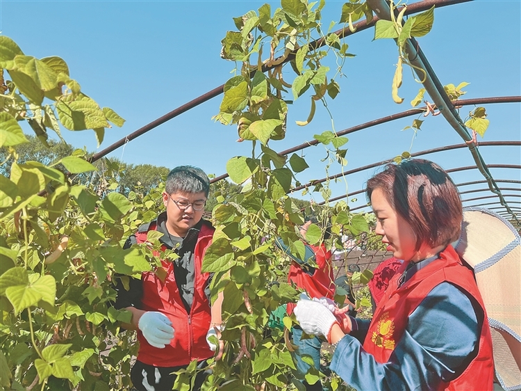 雙鴨山市友誼縣：聚力蓄能“突破提升”再啟航