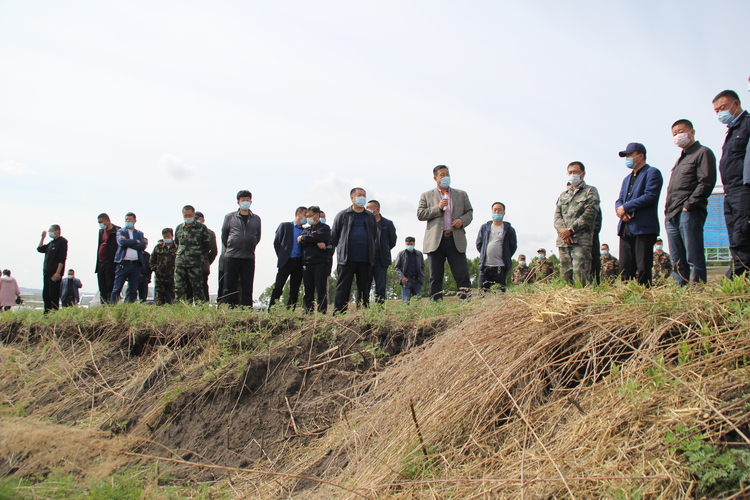 護好黑土地  守住“大糧倉” 北大荒集團建設農場全力確保黑土地永續利用_fororder_水蝕溝治理--建設農場--許穎獻.JPG