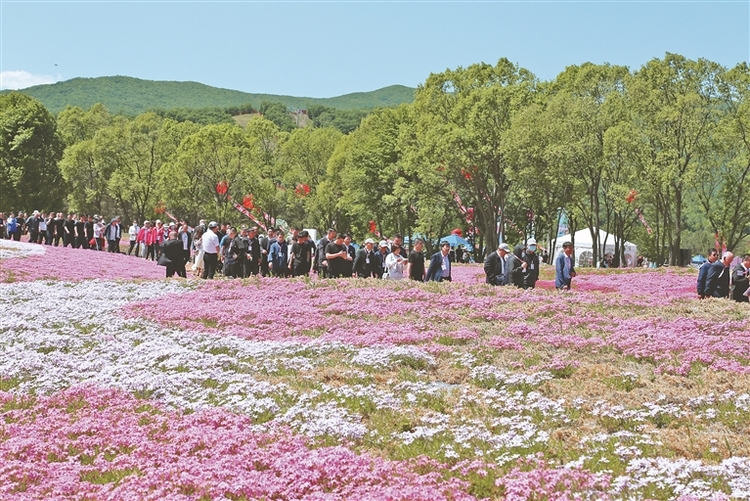 寶清芝櫻花旅遊文化節開幕