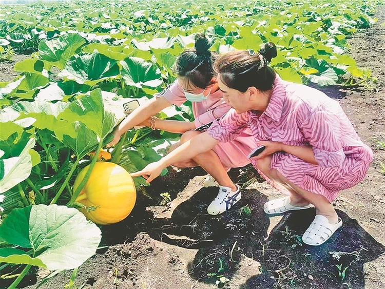 友誼“農業嘉年華”開園