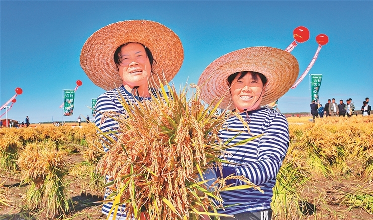 北大荒：2023豐收嘉年華正式開幕！