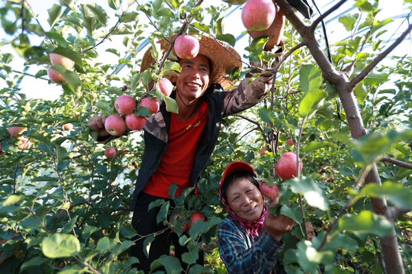 佳木斯：全面提升糧食綜合生産能力 加快建強六大特色産業鏈