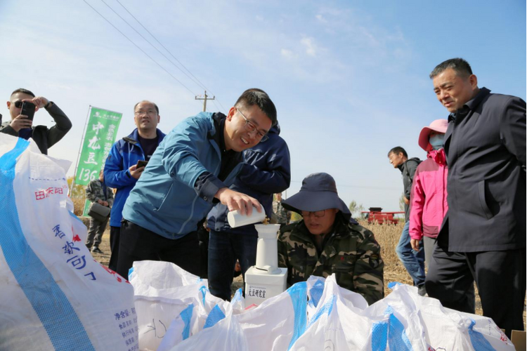 黑龍江：當年改良見成效 鹽鹼地喜獲豐收