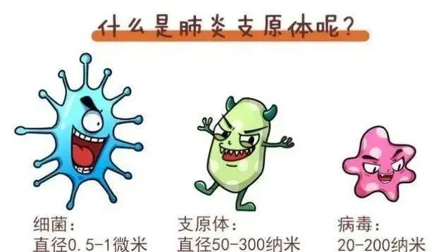 上熱搜的“支原體肺炎”，究竟是啥？