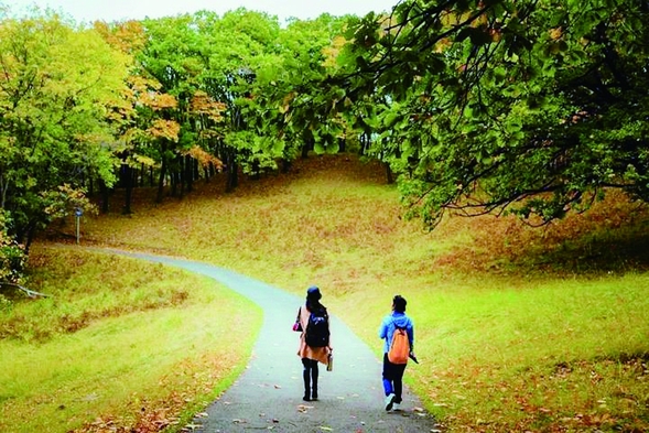 碧雲天黃葉地楓樹紅 今年秋霜晚染五花山色剛濃