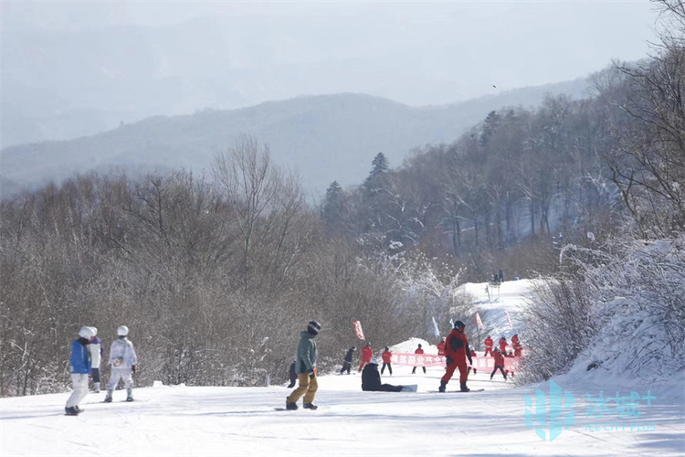 2023-2024年哈爾濱冰雪季盛大啟幕