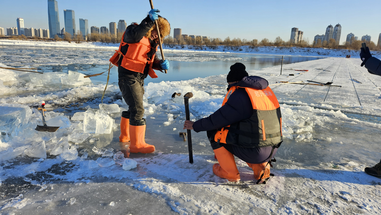 哈爾濱採冰節盛大啟幕 冰雪大世界建設全速推進_fororder_圖片14