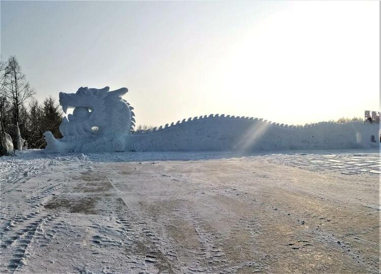 綏化市：客似雲來逐冰雪 北林風光正當時