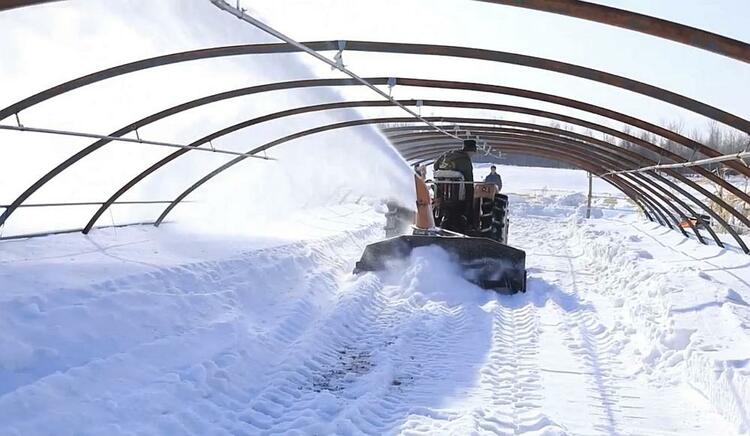 北國春來早丨清雪扣棚、購農資、檢修農機......延壽縣加緊備春耕