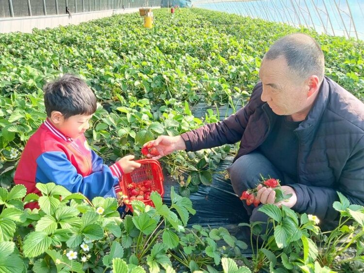 黑龍江湯原縣：特色産業“多點開花”鄉村振興“碩果纍纍”_fororder_圖片3_proc