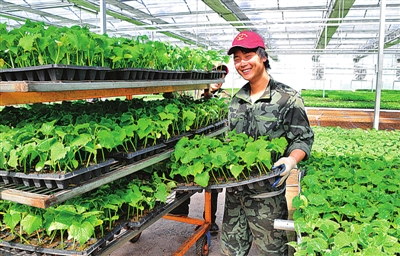 農業大慶捧起“生態金碗”