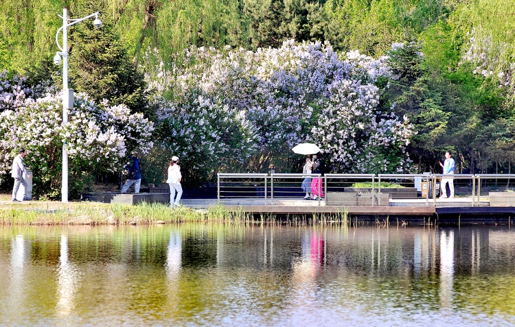 人在園中行 如在畫中游