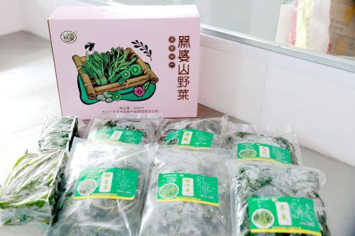 黑龍江省佳木斯市湯原縣：山野菜變身“致富菜”_fororder_圖片6