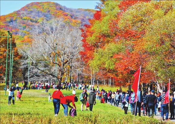 龍江森工集團生態優先守住綠水青山