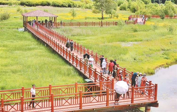 醉龍江|濕地公園歡樂多 “端午”踏青氛圍濃