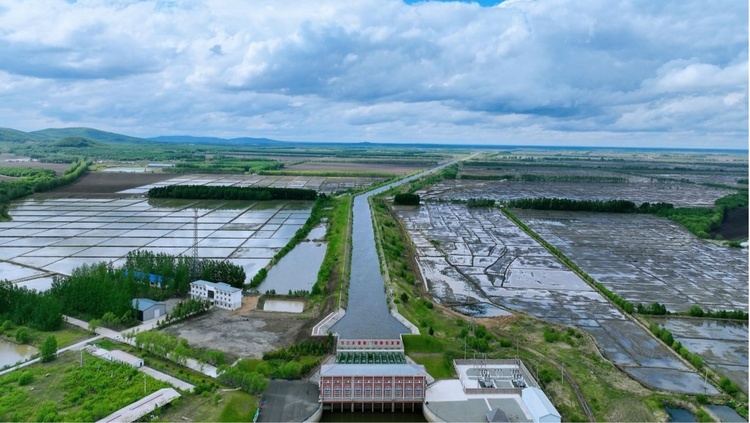 北大荒農業股份八五九分公司：智慧灌溉助力夏管節本增效