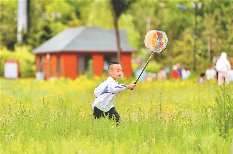 醉龍江|濕地公園歡樂多 “端午”踏青氛圍濃