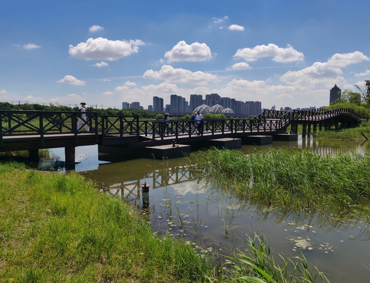 不負“濕”與遠方！哈爾濱“國際濕地城市”招牌“含金量”足