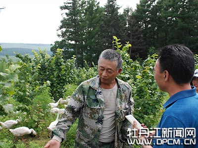 王樹生紮根大山做生態