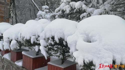 中國雪鄉景區11月15日正式開園