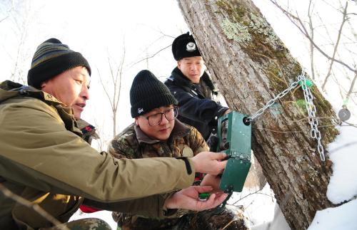 森工綏陽局冬季野生動物保護暨“四清”專項行動啟動