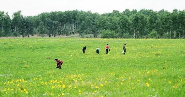 遊客絡繹不絕！杜爾伯特美景“遊”來5億真金