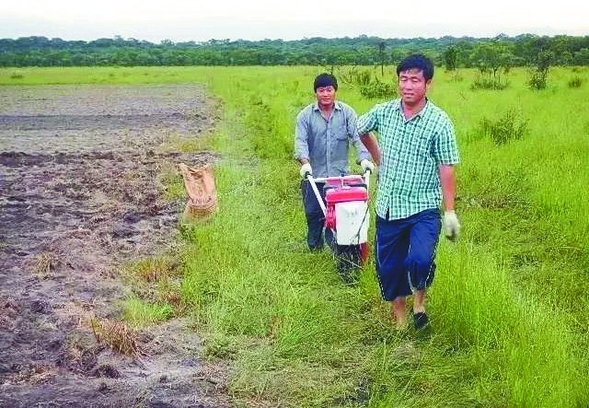 北大荒人陳山到非洲種出“高産田”