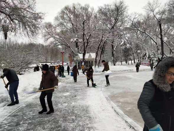 【黑龍江】【供稿】以雪為令 哈爾濱市平房區清雪大軍連夜奮戰清冰雪