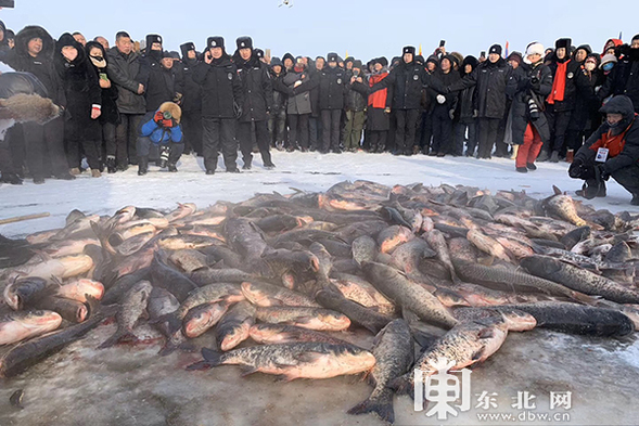 五大連池冬捕節開幕 頭魚獲競拍價10.88萬元