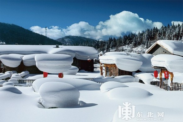 黑龍江冰雪遊年均人數增長率領銜全國哈爾濱位居傳統冰雪旅遊目的地榜首