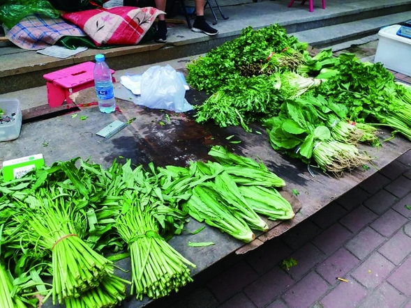 受連續降水影響 哈爾濱青菜價格上漲