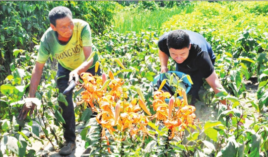 圖片默認標題_fororder_小菜園_副本