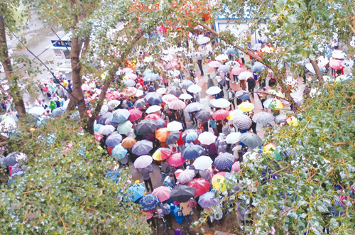 齊齊哈爾家長執傘護送學生 雨中盛開愛意“花朵”