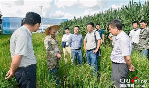 【黑龍江】農業農村部種業管理司司長張延秋到北大荒墾豐種業調研