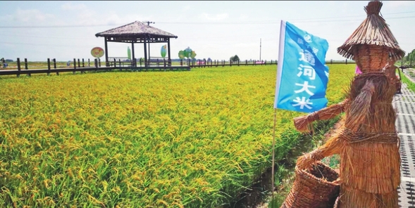 建設“德美通河”培育文明鄉風打造美麗鄉村