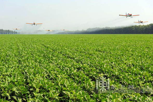 黑龍江省秸稈碎混還田技術地方標準通過專家審定 近日將發佈實施