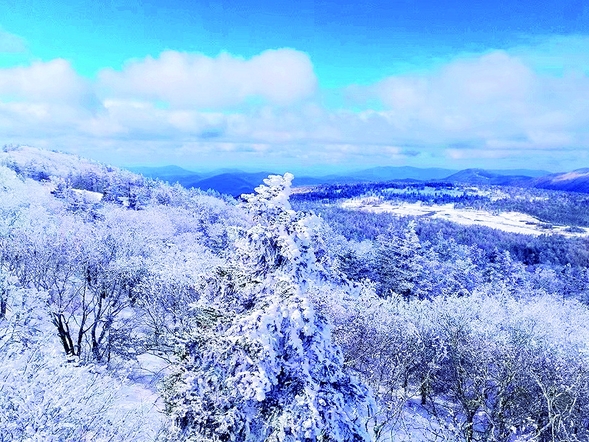 五常市鳳凰山霧凇、雪淞蔓延似仙境