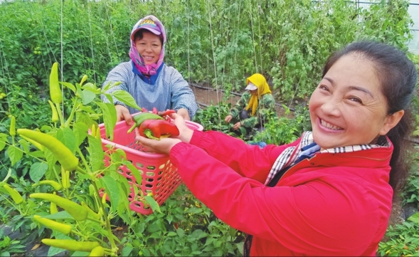 十年綠色種植路 農民致富領頭雁