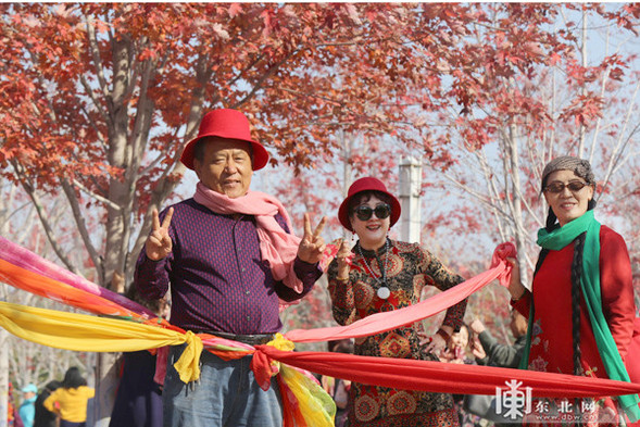 深秋落葉美 哈工程等校園成秋遊網紅地