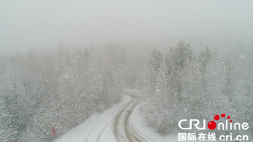 【黑龍江】【供稿】霜降節氣漠河市迎來秋後最大一場降雪