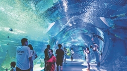 哈爾濱：燃情之冬交響清涼一夏