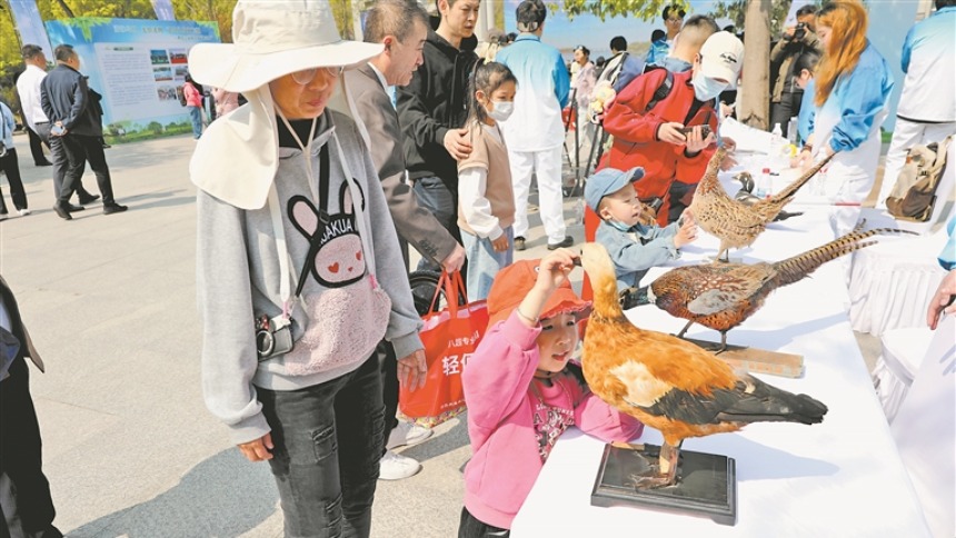 黑龍江：提升愛鳥意識 踐行生態文明