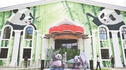 熊貓兄弟“芝士”“芝麻”入住太陽島