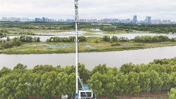 “零碳”基站助力“綠色龍江”建設